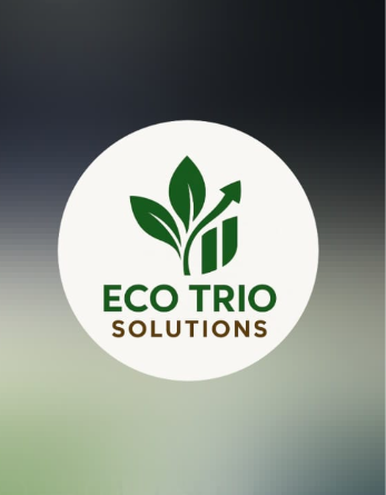 SEO & Digital Marketing Professional